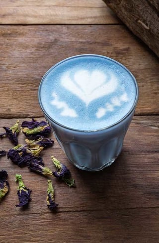 blue latte recipe 520x794